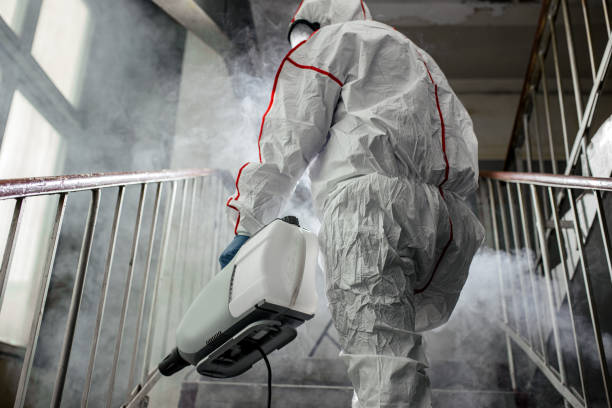 Best Industrial Mold Remediation  in Swedesboro, NJ